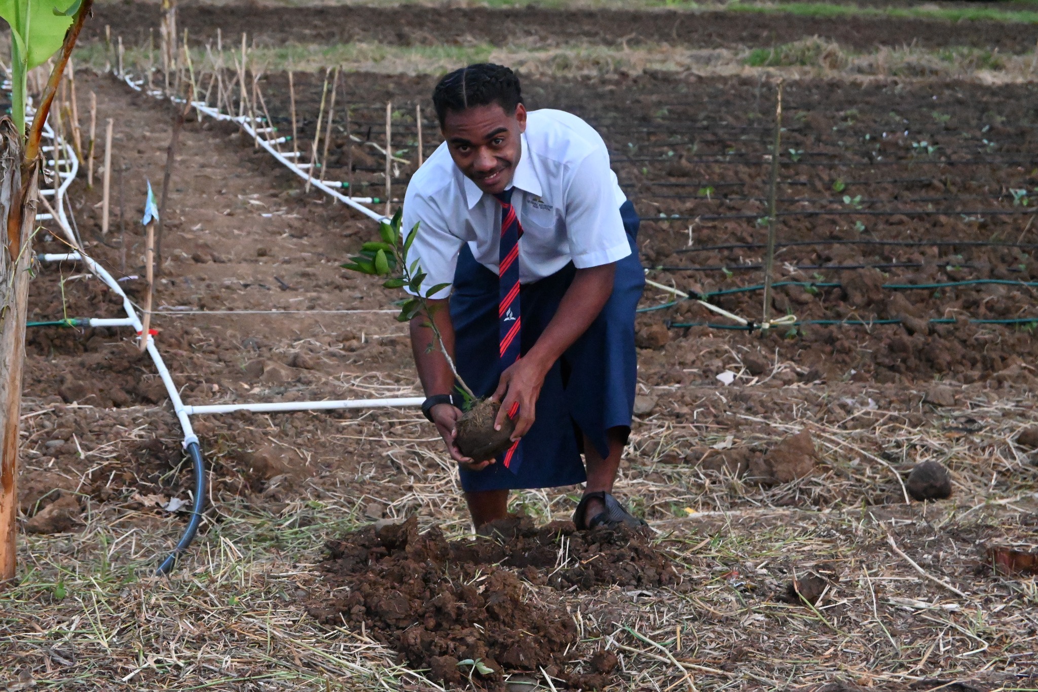 Getting Started: Planting Your First Seeds